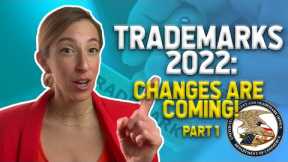TRADEMARK LAWYER: Trademark Modernization Act (PART 1)