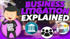 Business Litigation explained