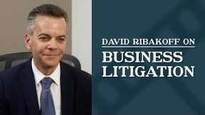 Business Litigation | Top Los Angeles Commercial Litigation Attorney | David Ribakoff