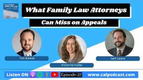 What Family Law Attorneys Can Miss on Appeals