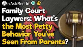 Family Court Lawyers, What’s the Most Petty Behavior You’ve Seen From Parents?