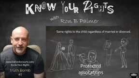 Information you need to protect your rights in family court - Truth Bomb 1 by Ron B Palmer
