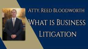 What is Business Litigation?