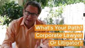 Deciding Your Career Path in Law School: Corporate Law or Litigation? business law