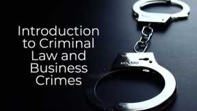 Criminal Law for Business