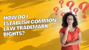 HOW DO I ESTABLISH COMMON LAW TRADEMARK | True Lawyer LLC