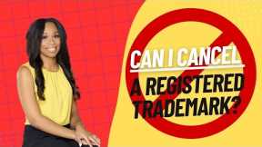 CAN I CANCEL A REGISTERED TRADEMARK? | True Lawyer LLC