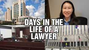 Days in the Life of a Family Lawyer. Attorney goes to Court. Custody & Divorce Law