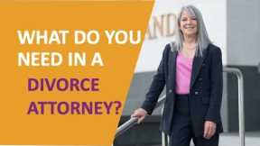 What You Need To Look For In a Divorce Attorney