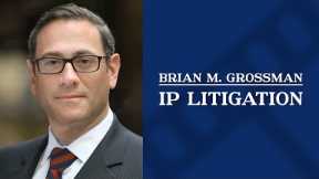 IP Litigation | Brian Grossman