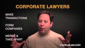 What is a Corporate Lawyer and What Do They Do?