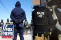 Acting ICE director issues STARK
