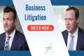 Business Litigation | The Lanier Law