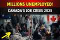 Millions Just Lost Their Jobs in
