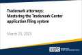 Trademark attorneys: Mastering the