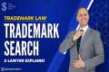 HOW TO CONDUCT A TRADEMARK SEARCH? |
