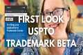 First Look Walkthrough USPTO New