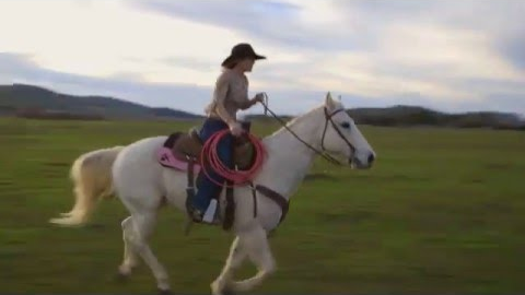 Harris Personal Injury Lawyers - Tara Twisselman Super Bowl Commercial