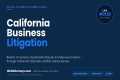 California Business Litigation